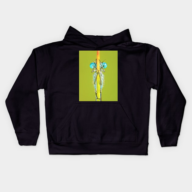 Common Blue Damselfly Close-up on Stalk Kids Hoodie by TonyNorth